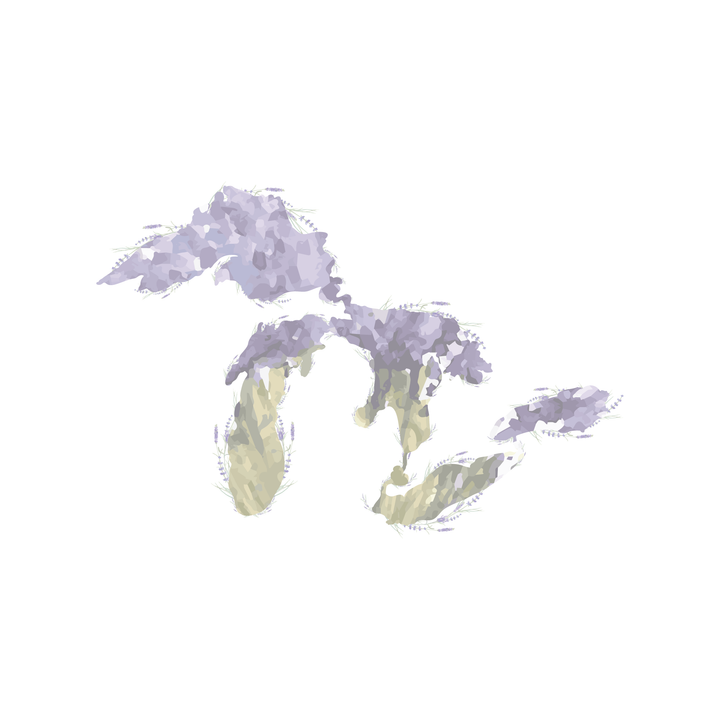 Soft purple outline map of the Great Lakes on a white background