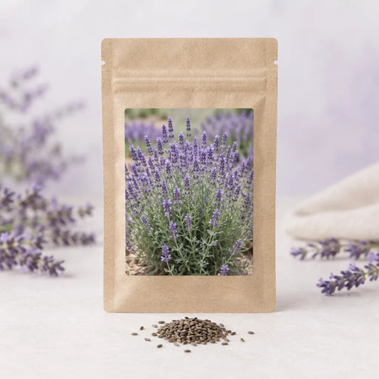Allie Lavender Seeds: A Week-by-Week Start for Tidy English Lavender