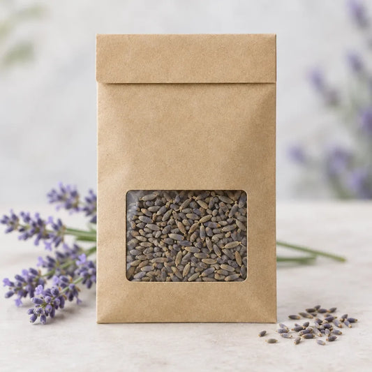 Buena Vista Lavender Seeds: Troubleshooting Slow Lavender Sprouts