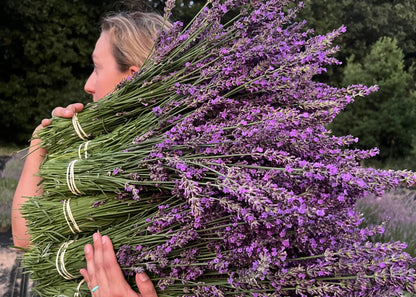 A woman outdoors holding a large bundle of freshly harvested lavender stems, with purple flowers and green stems filling most of the frame.