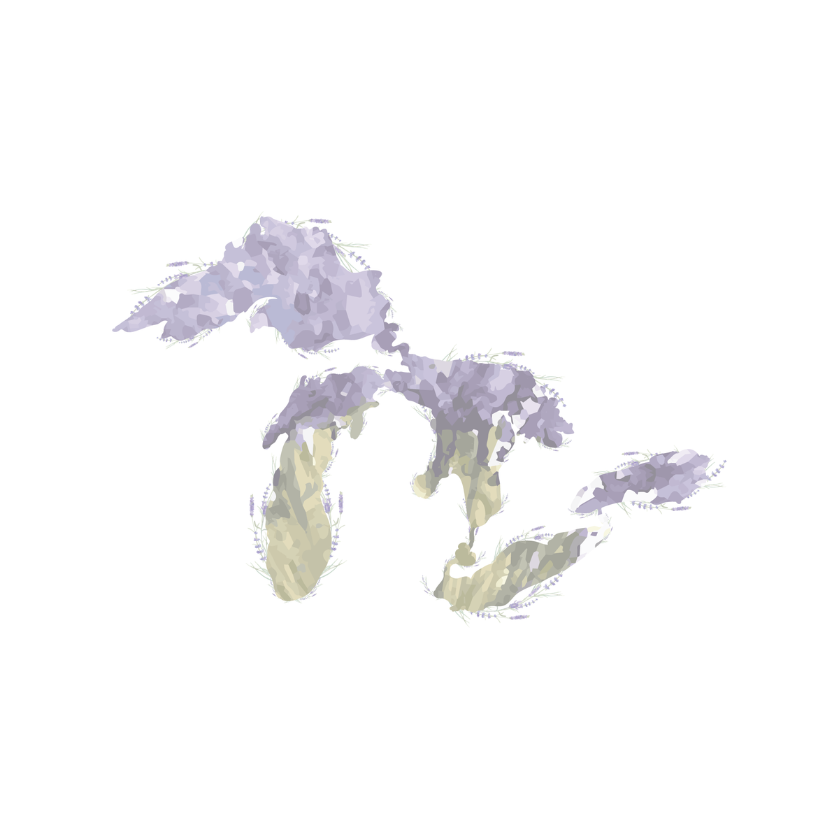 Lavender Seeds – All Varieties