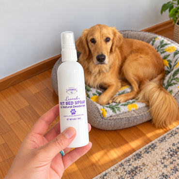 Lavender Pet Bed Spray - 4 oz