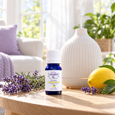 Lavender Lemonade Essential Oil - Lavender & Lemon - 10ml - Seasonal - Limited Time Only - Great Lakes Lavender Farm