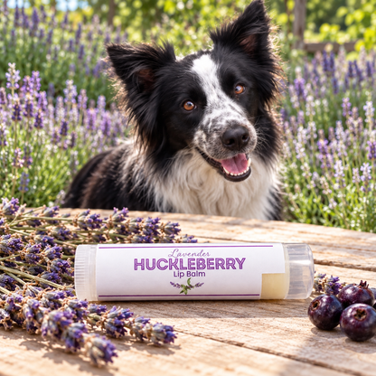 Lavender Huckleberry Lip Balm on wood next to lavender and berries with a black and white dog behind.