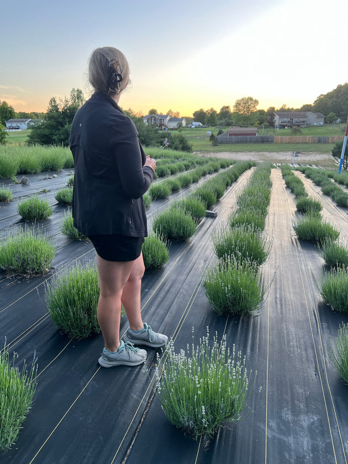 Woman standing at the top of the lavender rows looking out at sunset