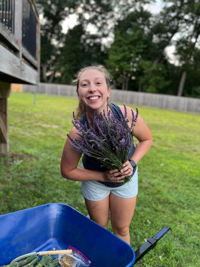 Woman grinning while holding a bundle of fresh lavender next to a wheelbarrow