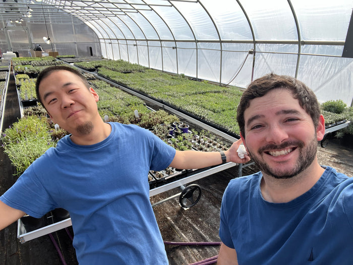 Two friends in blue shirts showing off greenhouse benches of lavender