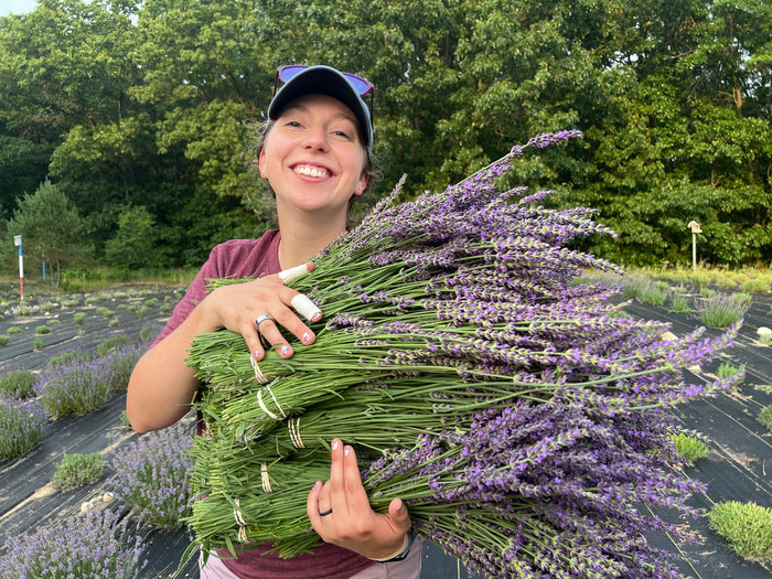 Smiling woman hugging a big stack of tied lavender bundles