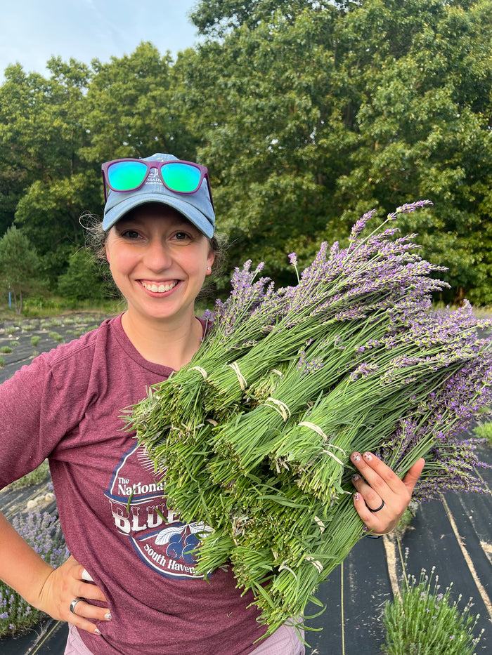 Woman holding an armful of tied lavender bundles