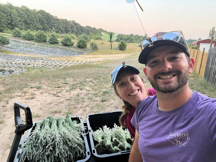 Two people smiling beside bins of harvested lavender at dusk