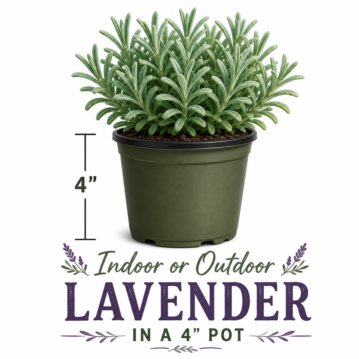 Grosso lavender 20-cell plug tray - image 5
