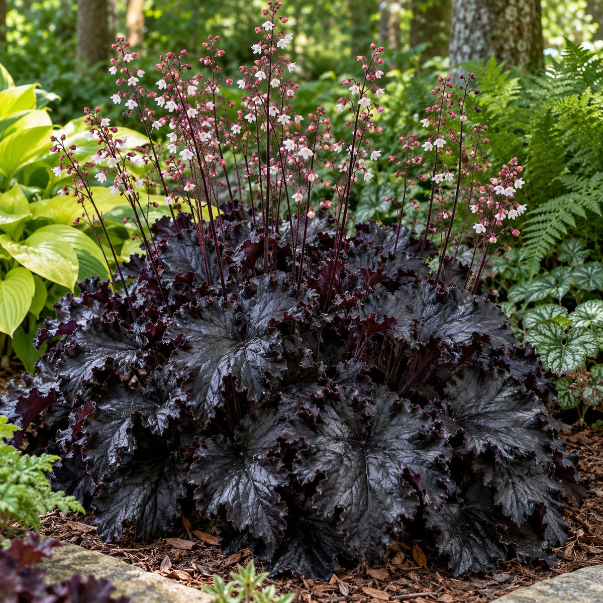 Evening Gown Coral Bells