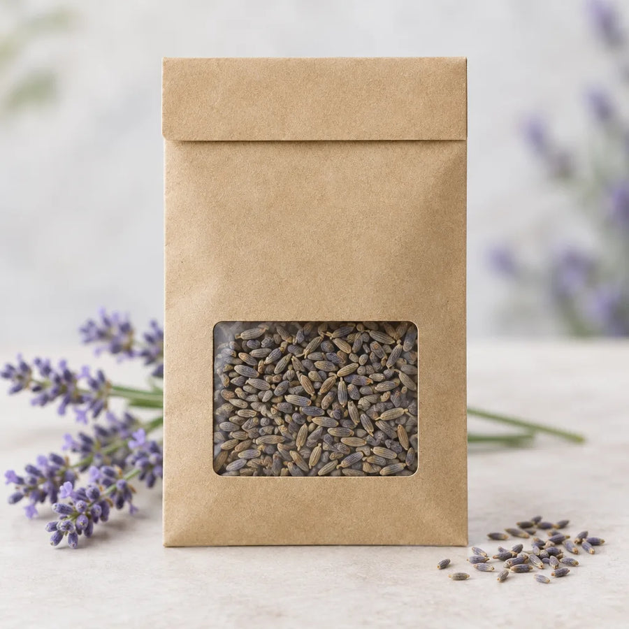 Illustration of Buena Vista Lavender Seeds - Lavandula angustifolia