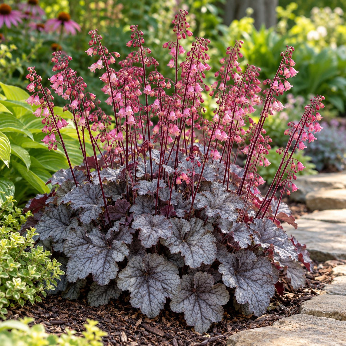 Timeless Treasure Coral Bells