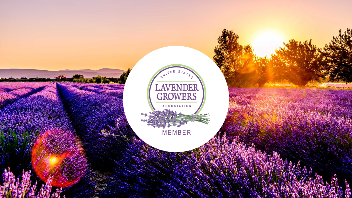 United States Lavender Growers Association - USLGA Member - Great Lakes Lavender Farm